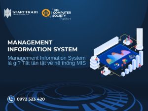 Management Information System